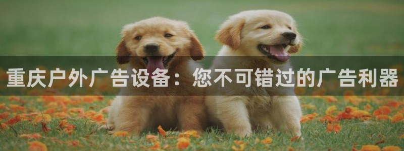 杏宇平台代理多少钱一次