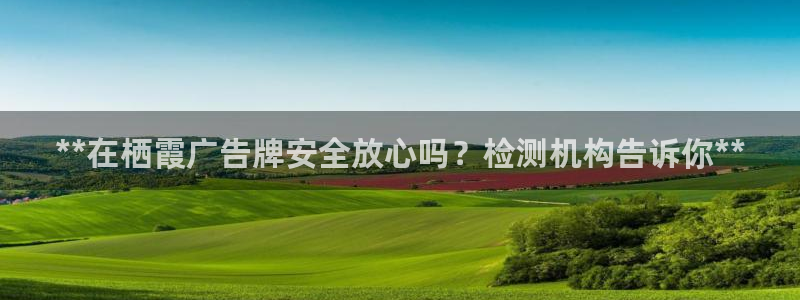 杏宇平台代理怎么样