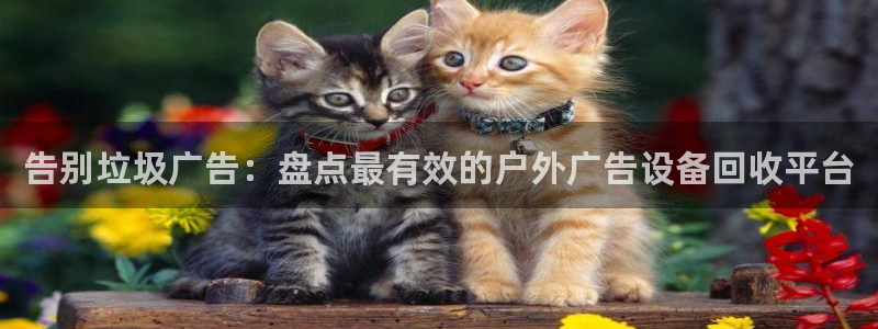 杏宇平台怎么样