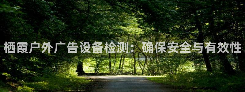 杏宇官方平台官网下载