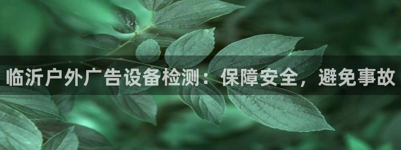 杏宇代理注册