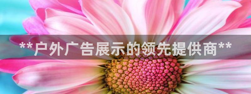 杏宇平台代理怎么赚钱快：**户外广告展示的领先提供商**