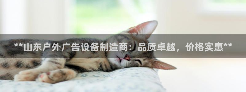 杏宇平台代理多少钱：**山东户外广告设备制造商：品质卓越，价格实惠**