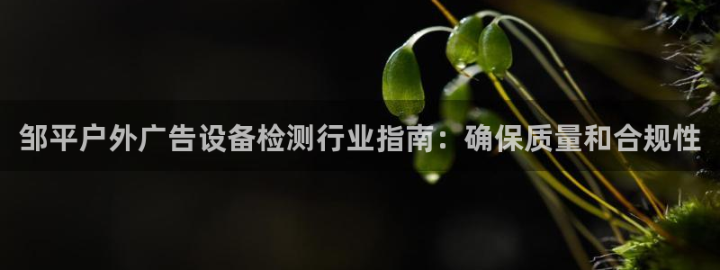 杏宇平台注册地址：邹平户外广告设备检测行业指南：确保质量和合规性