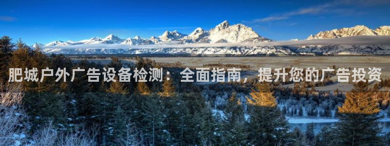 杏宇平台测速链接：肥城户外广告设备检测：全面指南，提升您的广告投资