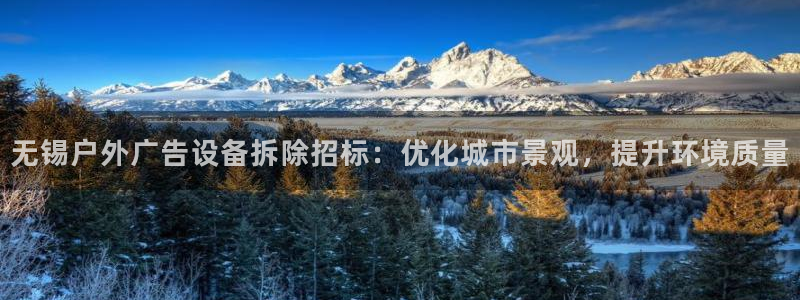 杏宇平台总代理是谁：无锡户外广告设备拆除招标：优化城市景观，提升环境质量