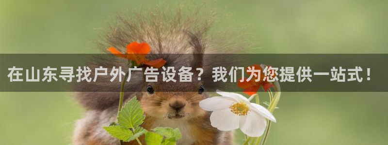 杏宇平台总代理：在山东寻找户外广告设备？我们为您提供一站式！