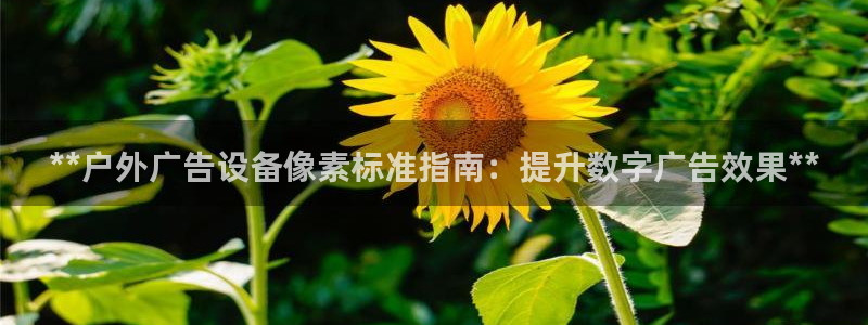 杏宇官方平台官网：**户外广告设备像素标准指南：提升数字广告效果**
