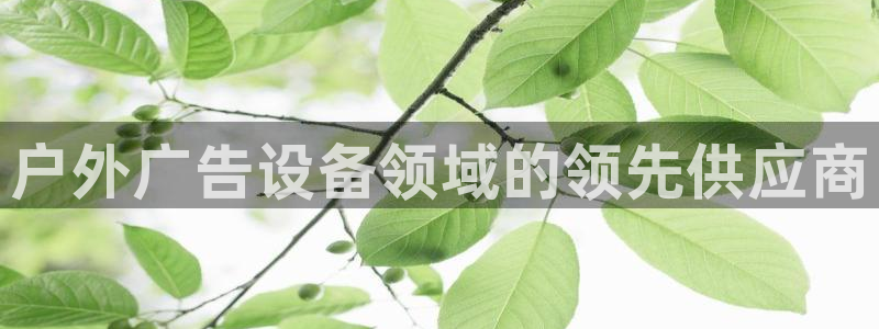 杏宇平台总代理是谁：户外广告设备领域的领先供应商