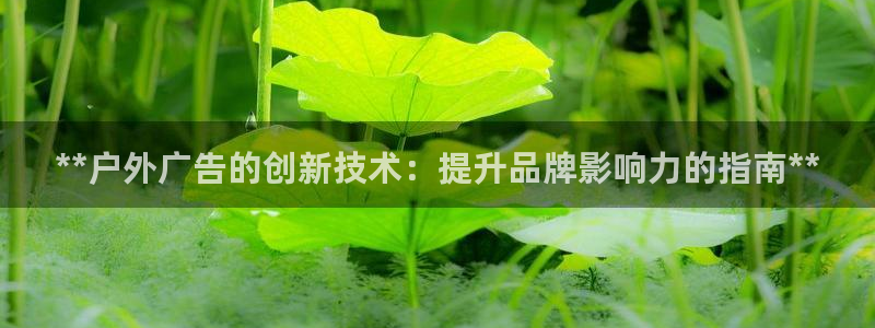 杏宇平台怎么样：**户外广告的创新技术：提升品牌影响力的指南**