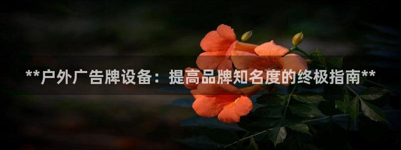 杏宇平台登录方法：**户外广告牌设备：提高品牌知名度的终极指南**