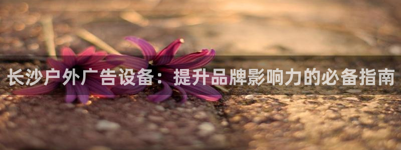 杏宇平台登录步骤图：长沙户外广告设备：提升品牌影响力的必备指南