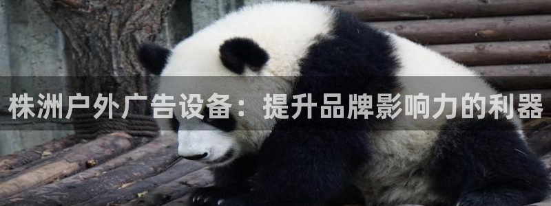 杏宇平台代理怎么样：株洲户外广告设备：提升品牌影响力的利器