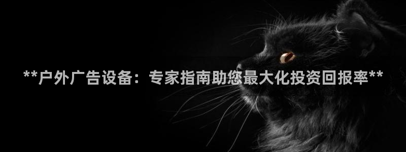 杏宇官方平台官网：**户外广告设备：专家指南助您最大化投资回报率**