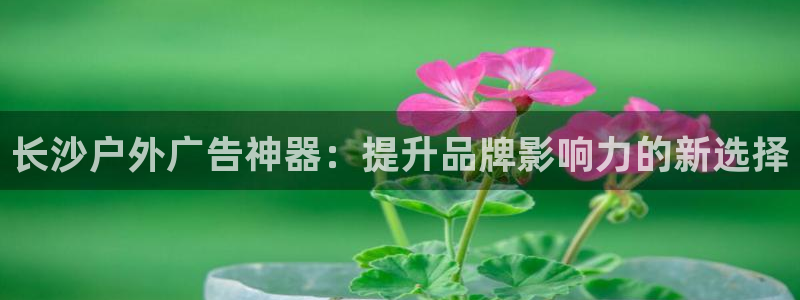 杏宇官方平台官网