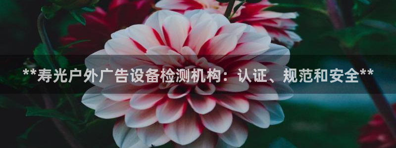 杏宇平台招商：**寿光户外广告设备检测机构：认证、规范和安全**