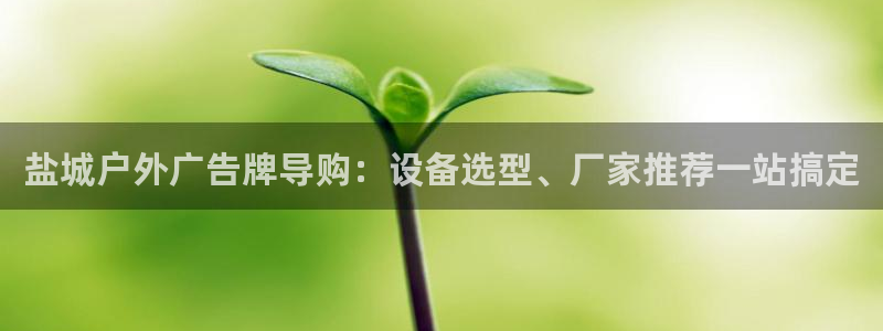 杏宇平台登陆