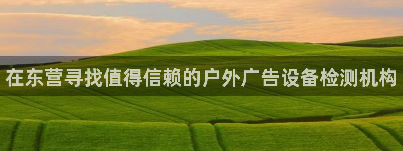 杏宇平台代理怎么赚钱：在东营寻找值得信赖的户外广告设备检测机构