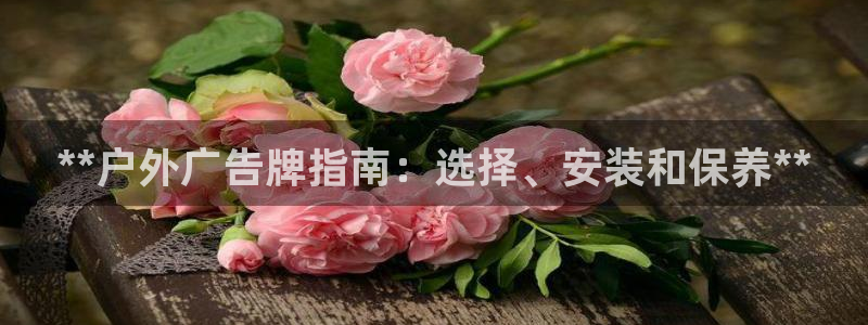 杏宇平台测速链接