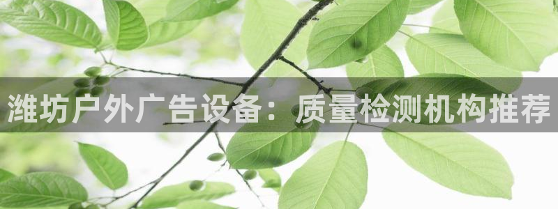 杏宇平台怎么样
