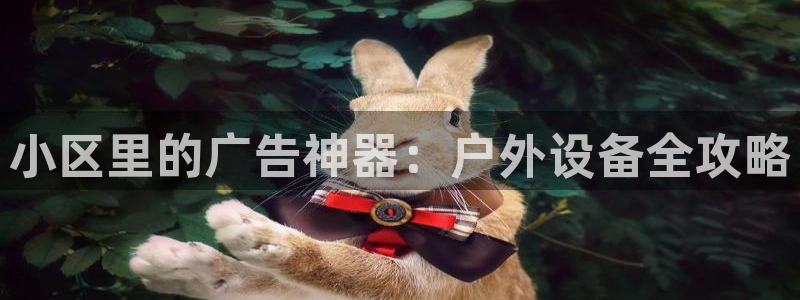 杏宇平台代理怎么赚钱的