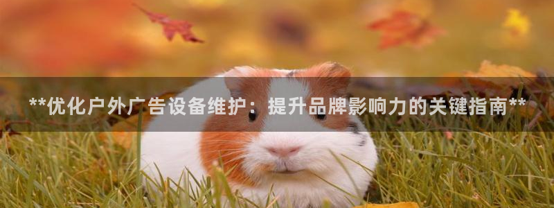 杏宇平台代理多少钱：**优化户外广告设备维护：提升品牌影响力的关键指南**