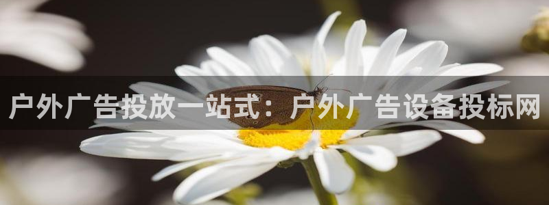 杏宇平台开户