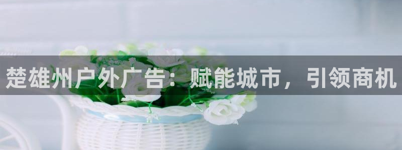 杏宇平台代理怎么样啊