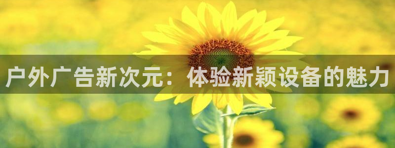 杏宇平台代理
