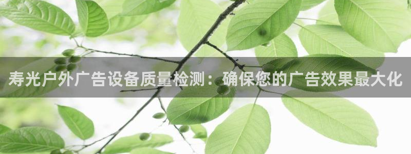杏宇平台怎么样知乎：寿光户外广告设备质量检测：确保您的广告效果最大化