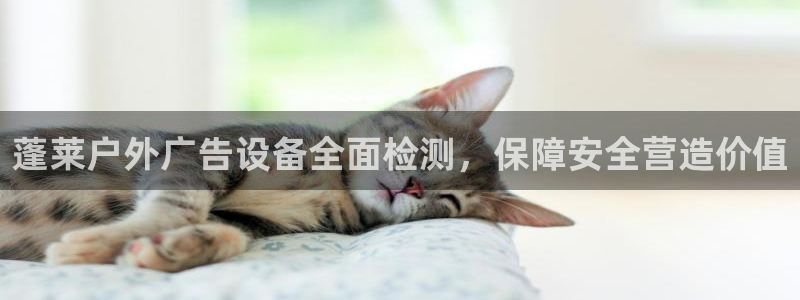 杏宇平台代理怎么赚钱快