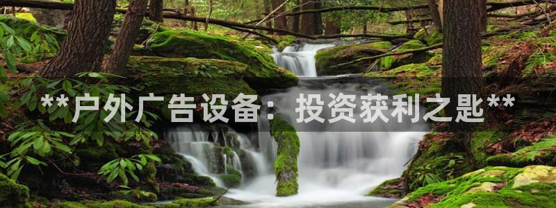 杏宇平台提现为什么这么久呢：**户外广告设备：投资获利之匙**
