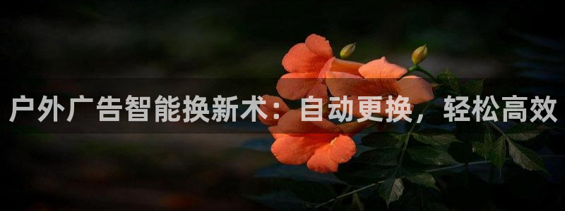 杏宇平台提现为什么这么久呢