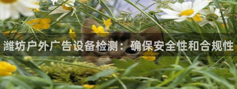 杏宇平台注册地址：潍坊户外广告设备检测：确保安全性和合规性