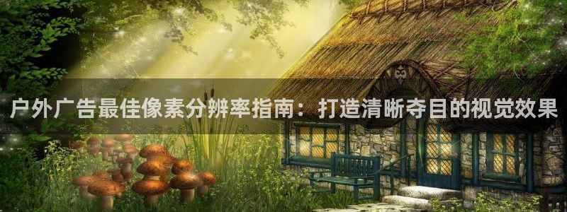 杏宇平台代理多少钱一次：户外广告最佳像素分辨率指南：打造清晰夺目的视觉效果