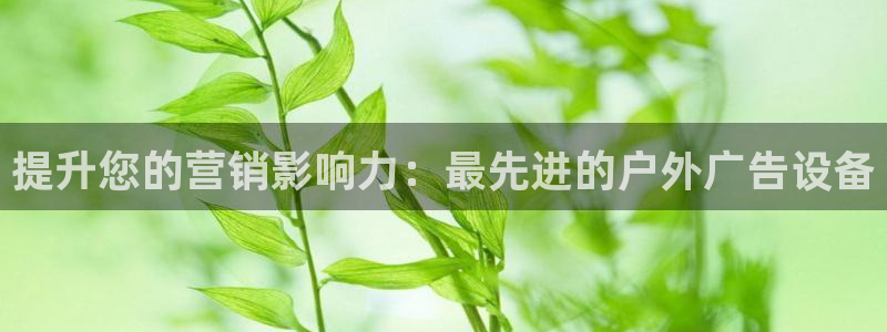 杏宇平台代理多少钱一次