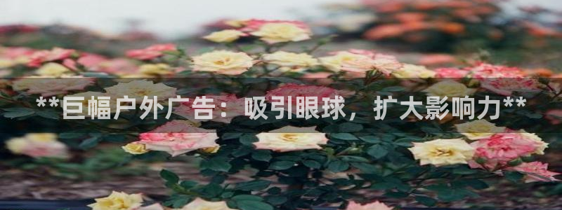 杏宇平台官网注册