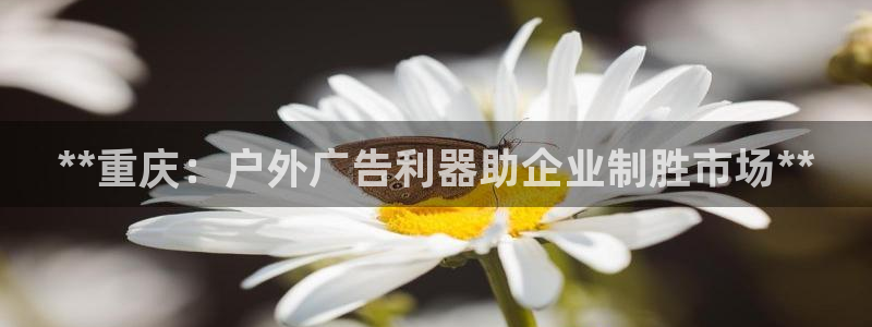 杏宇官方平台官网