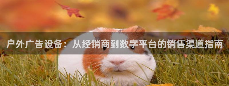 杏宇平台总代理是谁