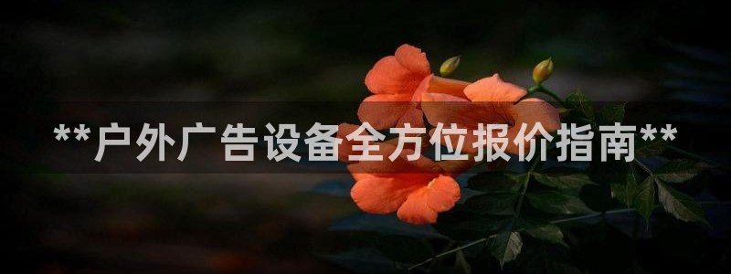 杏宇平台主管：**户外广告设备全方位报价指南**