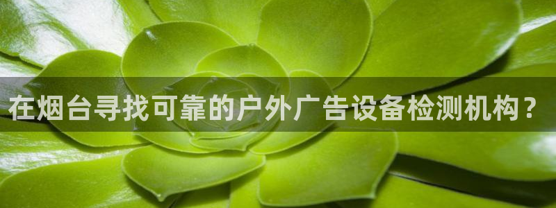 杏宇平台好吗