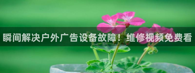 杏宇平台代理怎么样