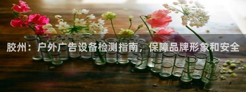 杏宇官方平台官网下载