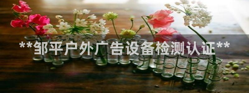 杏宇平台代理怎么赚钱快：**邹平户外广告设备检测认证**