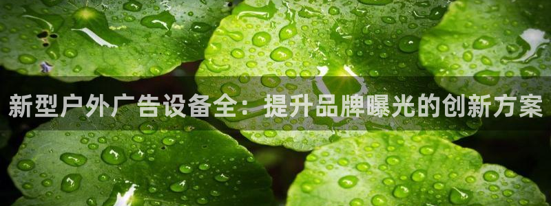 杏宇平台登陆