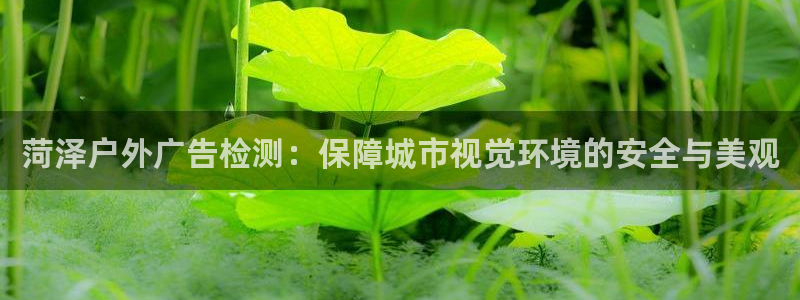 杏宇平台代理怎么样赚钱：菏泽户外广告检测：保障城市视觉环境的安全与美观