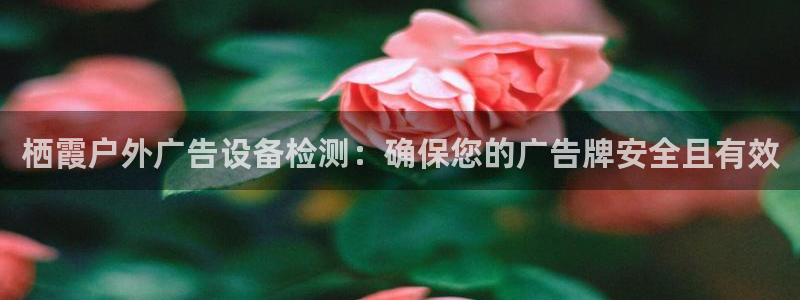 杏宇平台注册登录：栖霞户外广告设备检测：确保您的广告牌安全且有效