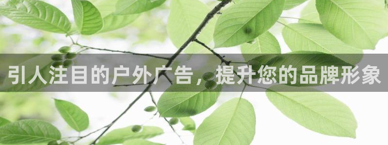 杏宇平台总代理是谁