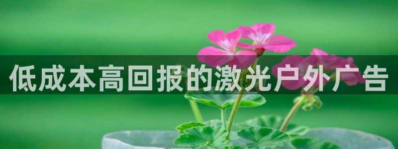 杏宇平台总代理：低成本高回报的激光户外广告