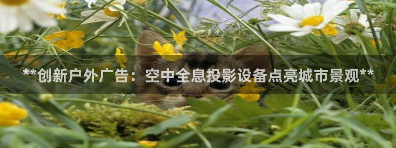 杏宇平台登录步骤是什么：**创新户外广告：空中全息投影设备点亮城市景观**